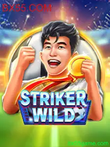Descubra o Mundo Empolgante de StrikerWILD